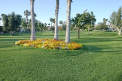 psp-golf-005