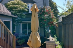 sabo-outside-yard-patio-2